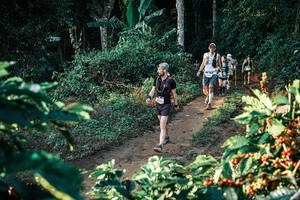 BIB: 
                            <button type="button" onclick="openModal(25811169)" class="btn btn-primary btn-sm float-right btn-popup" data-toggle="modal" data-target=".modal-high-quality">
                        <i class="fas fa-shopping-cart"></i> Add to Cart
                    </button>
                                            <button type="button" onclick="isThisMe(25811169, true)" class="btn btn-success btn-sm float-right btn-popup btn-isme hidden" data-toggle="tooltip" data-placement="bottom" title="นี่คือรูปของคุณใช่ไหม คลิกที่นี่เพื่อเอาเข้าอัลบั้ม">
                        <i class="fas fa-plus"></i> Add to album
                    </button>
                    <button type="button" onclick="isThisMe(25811169, false)" class="btn btn-warning btn-sm float-right btn-popup btn-isnotme hidden">
                        <i class="fas fa-ban"></i> Remove from album
                    </button>